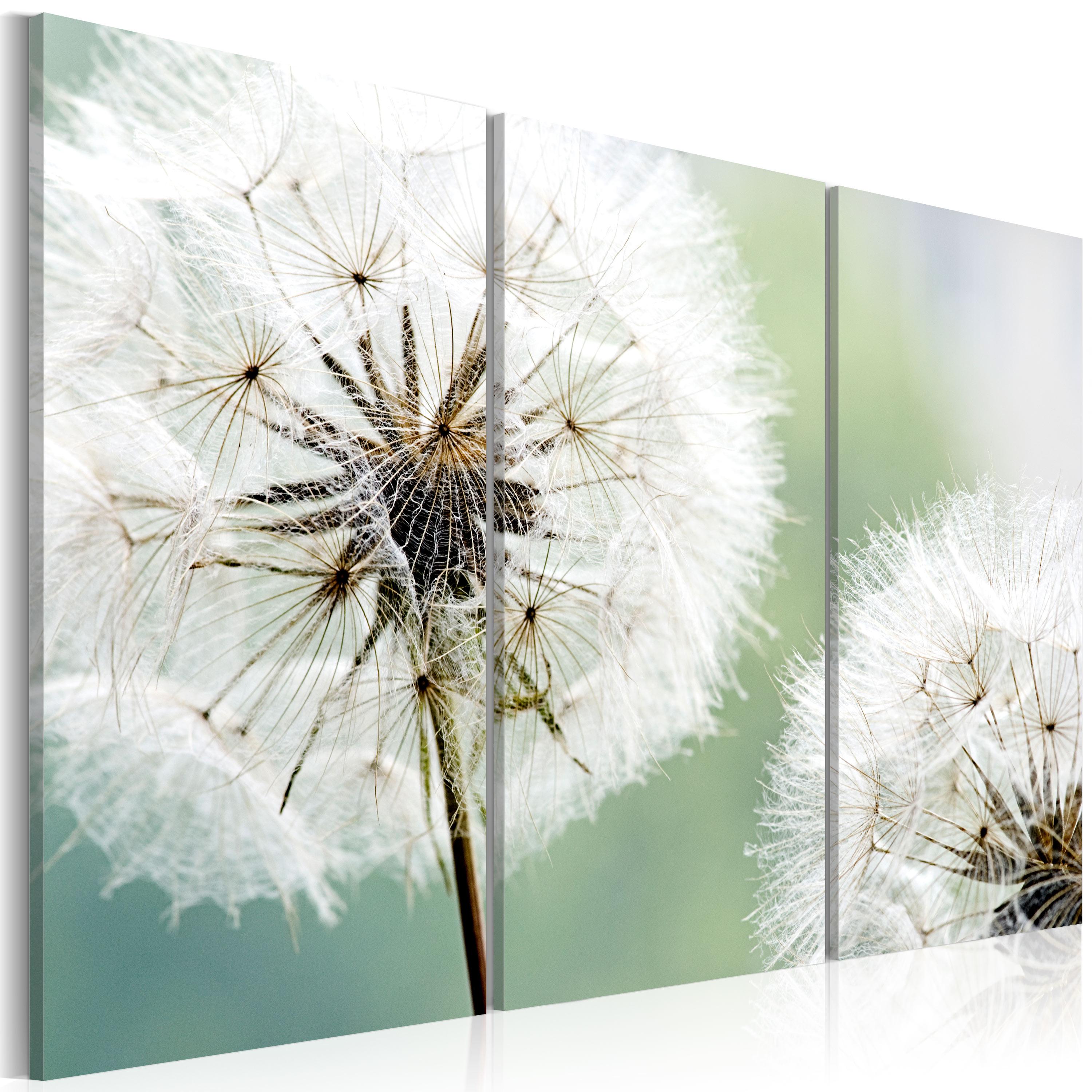 Billede - Fluffy dandelions - 90 x 60 cm - Premium Print