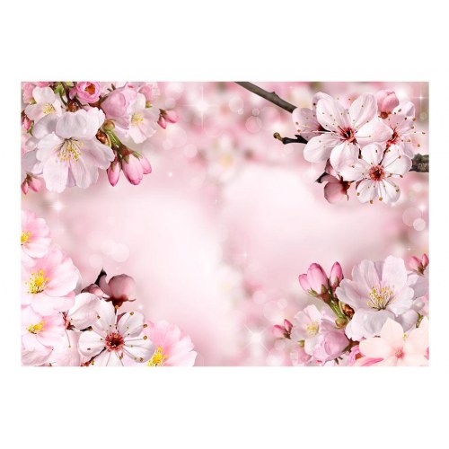 Fototapet med forårs-kirsebærblomster