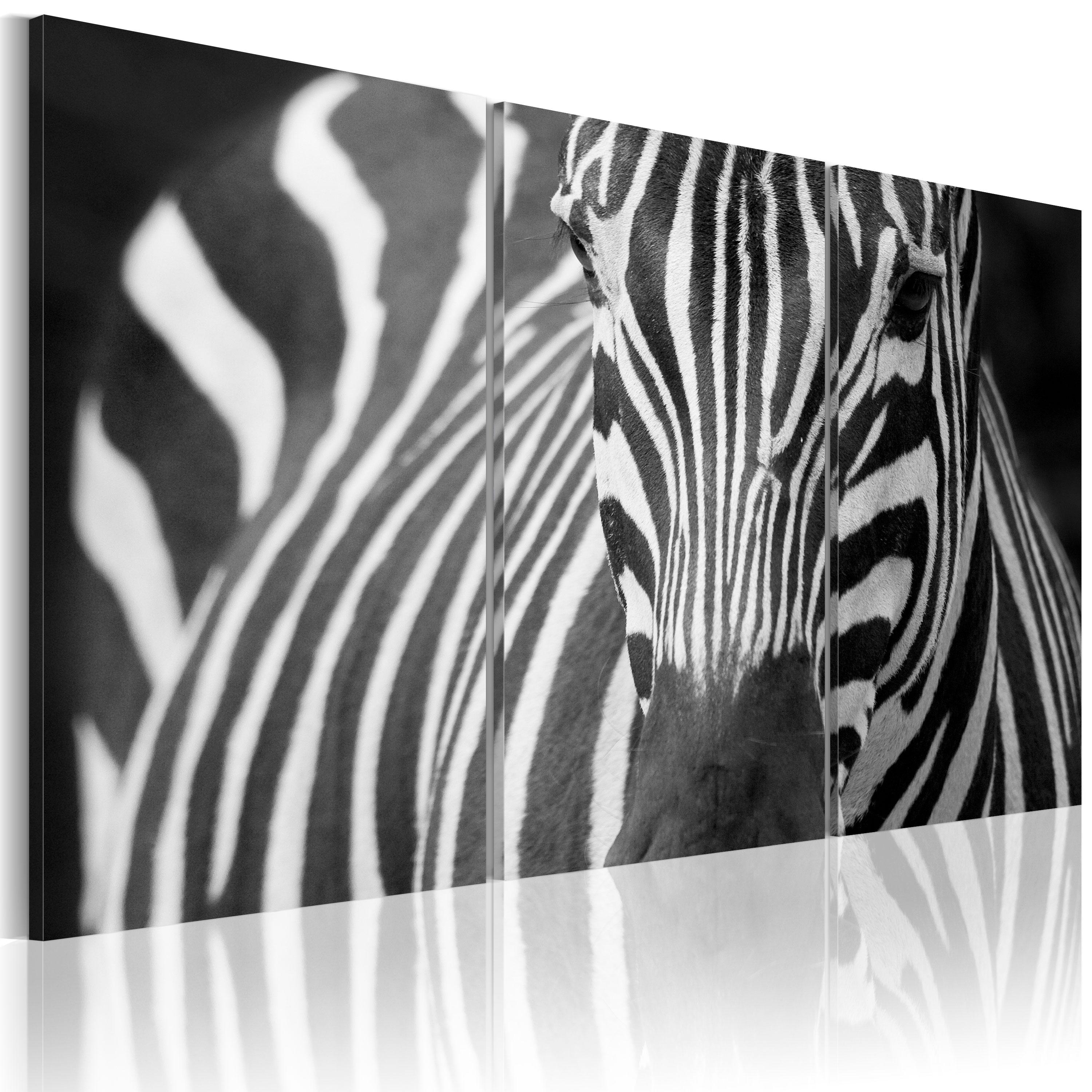 Billede - Mrs Zebra - 60 x 40 cm - Premium Print