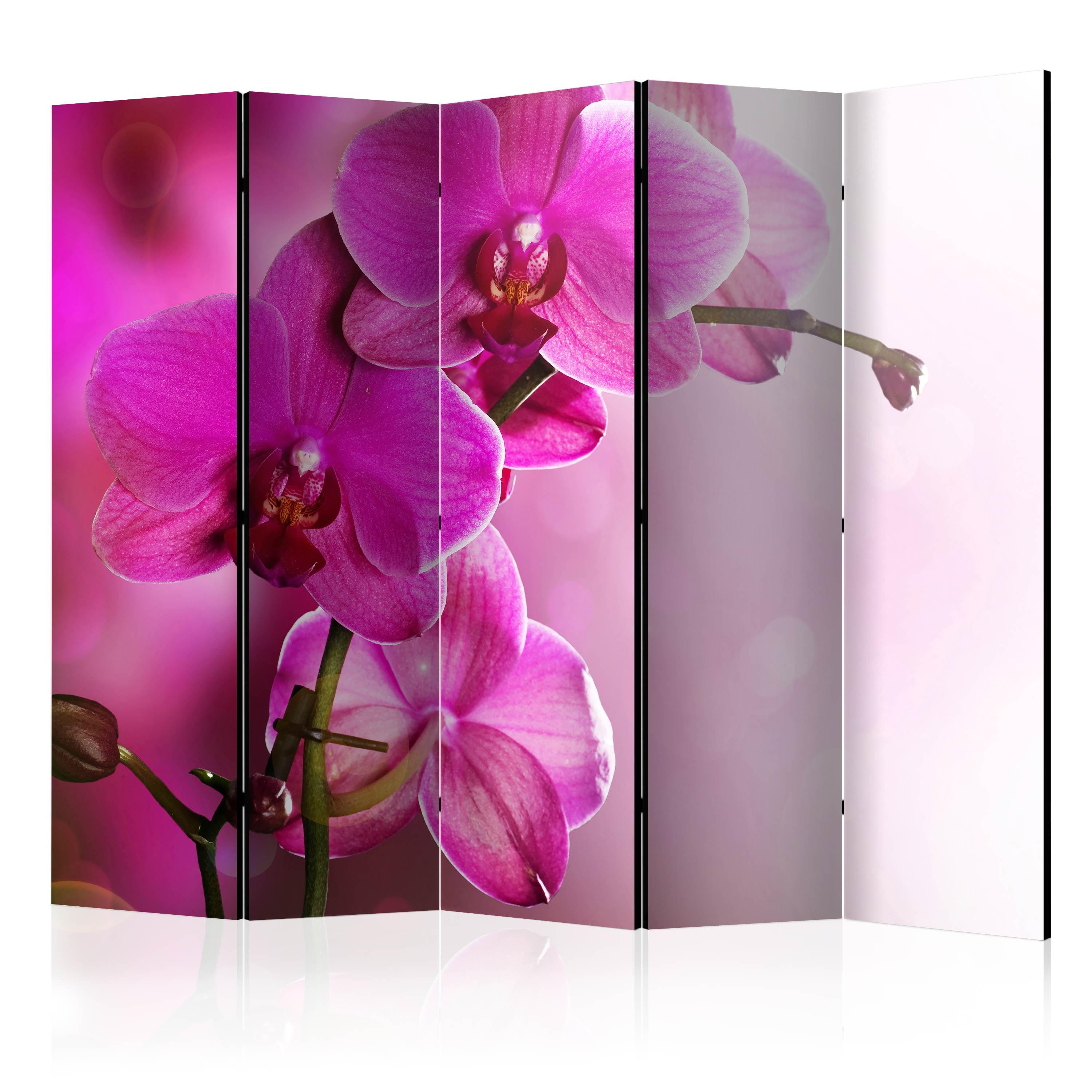Skærmvæg - Pink orchid II - 225 x 172 cm - Dobbeltsiddet billede