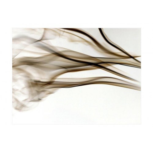 Fototapet - smoke - abstract