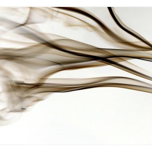 Fototapet - smoke - abstract