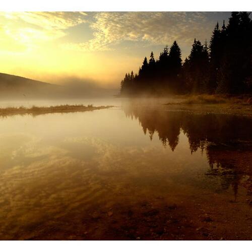 Fototapet - Skov og sø