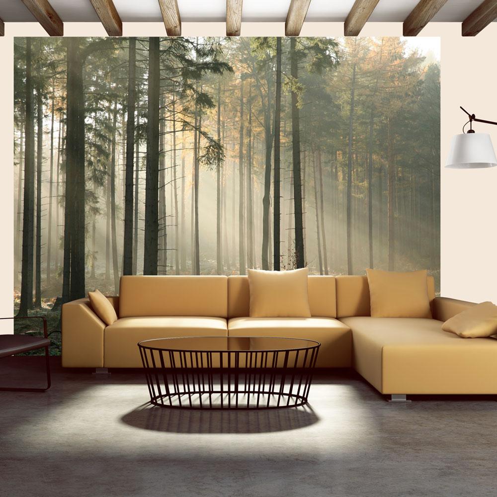 Fototapet - Foggy November morning - 245 x 193 cm - Selvklæbende