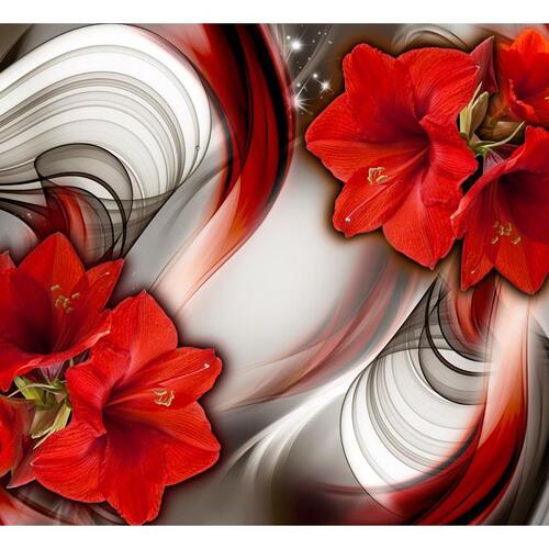 Fototapet - Amaryllis - Ballad of the Red