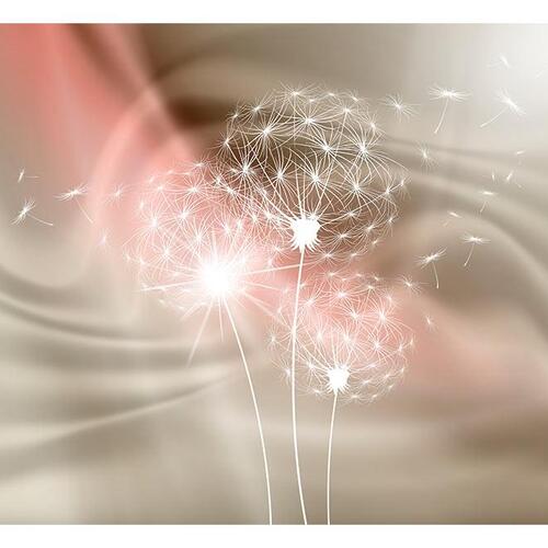 Fototapet - Crumbs of the Day
