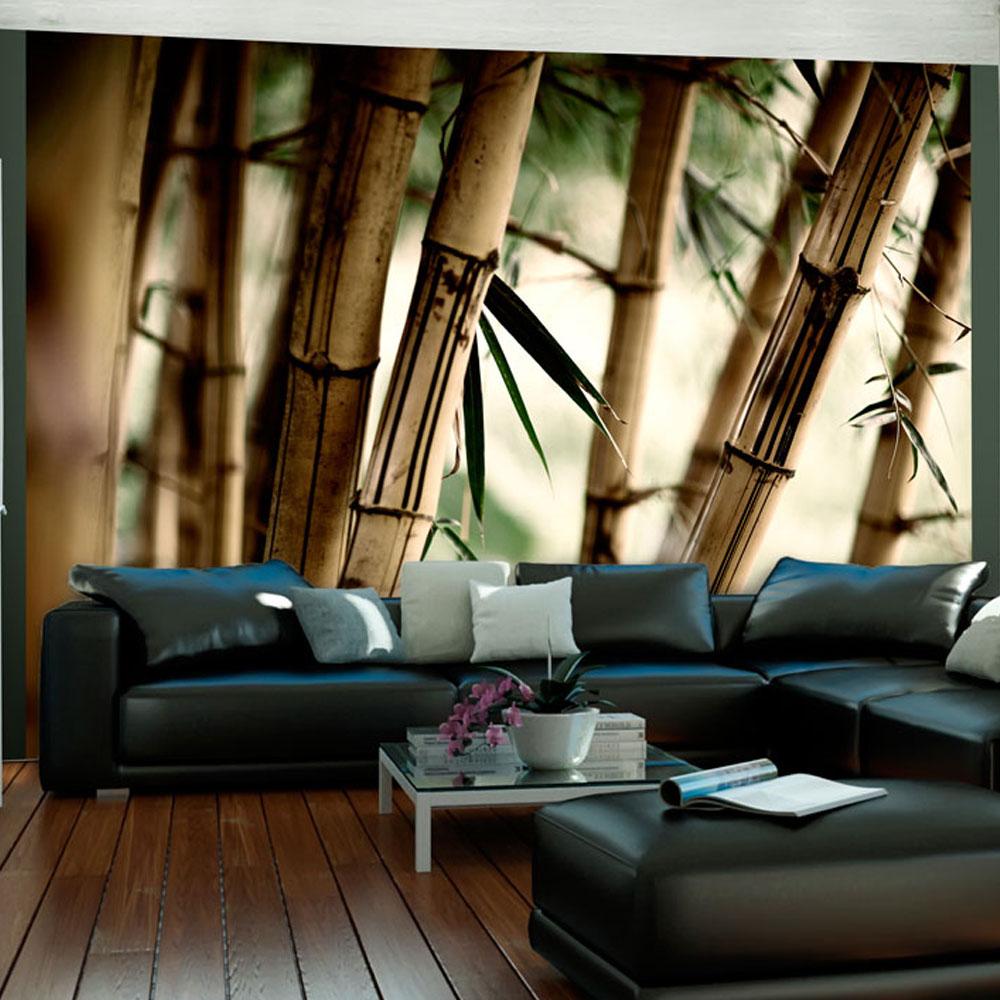 Fototapet - Fog and bamboo forest