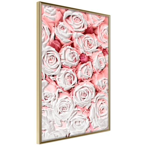 Plakat - White Roses
