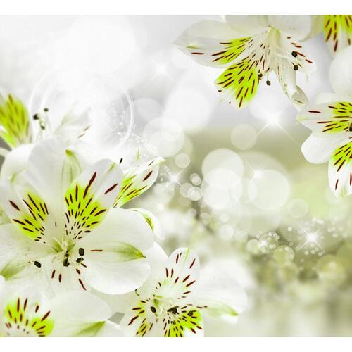 Fototapet - Southern Princess