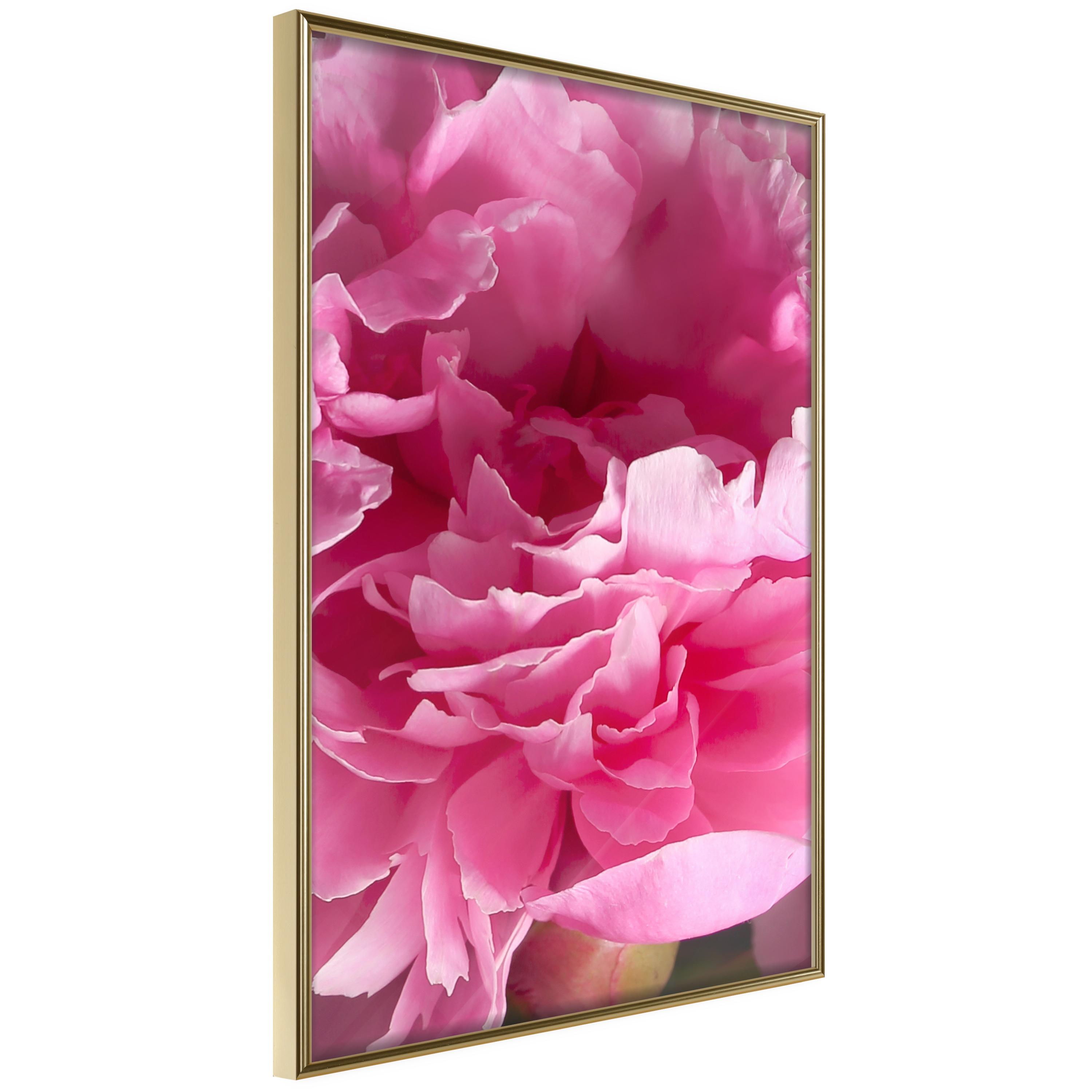 Plakat - Beautiful Peonies - 30 x 45 cm - Guldramme