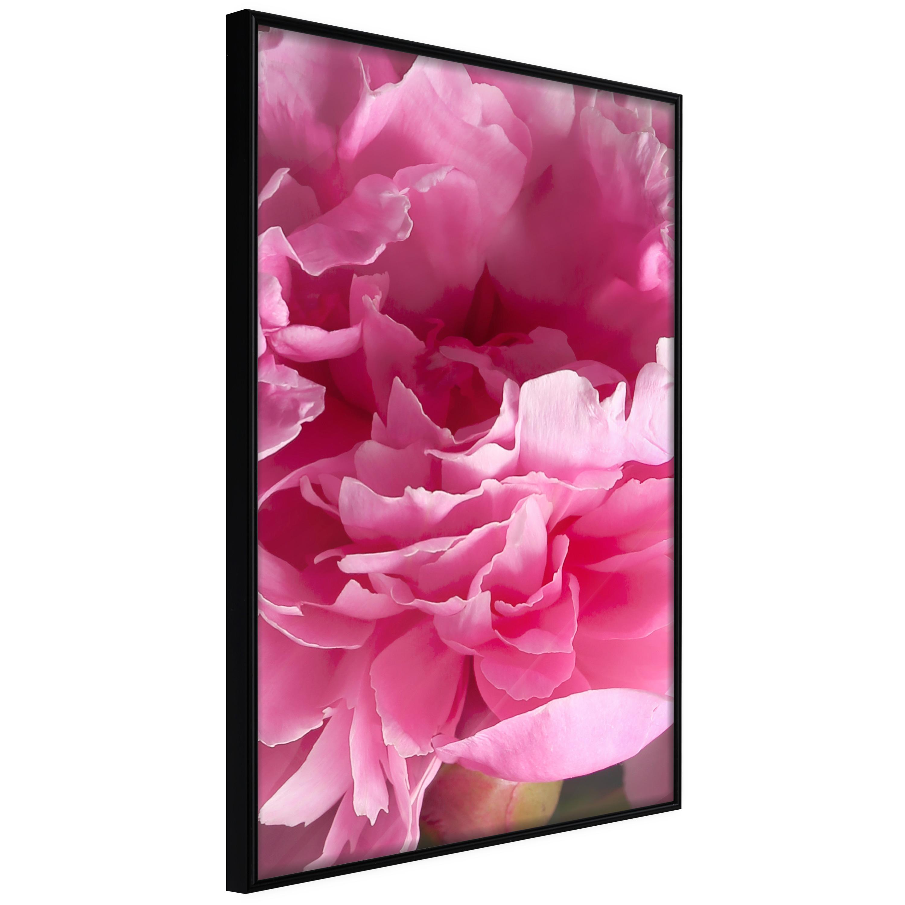 Plakat - Beautiful Peonies - 40 x 60 cm - Sort ramme