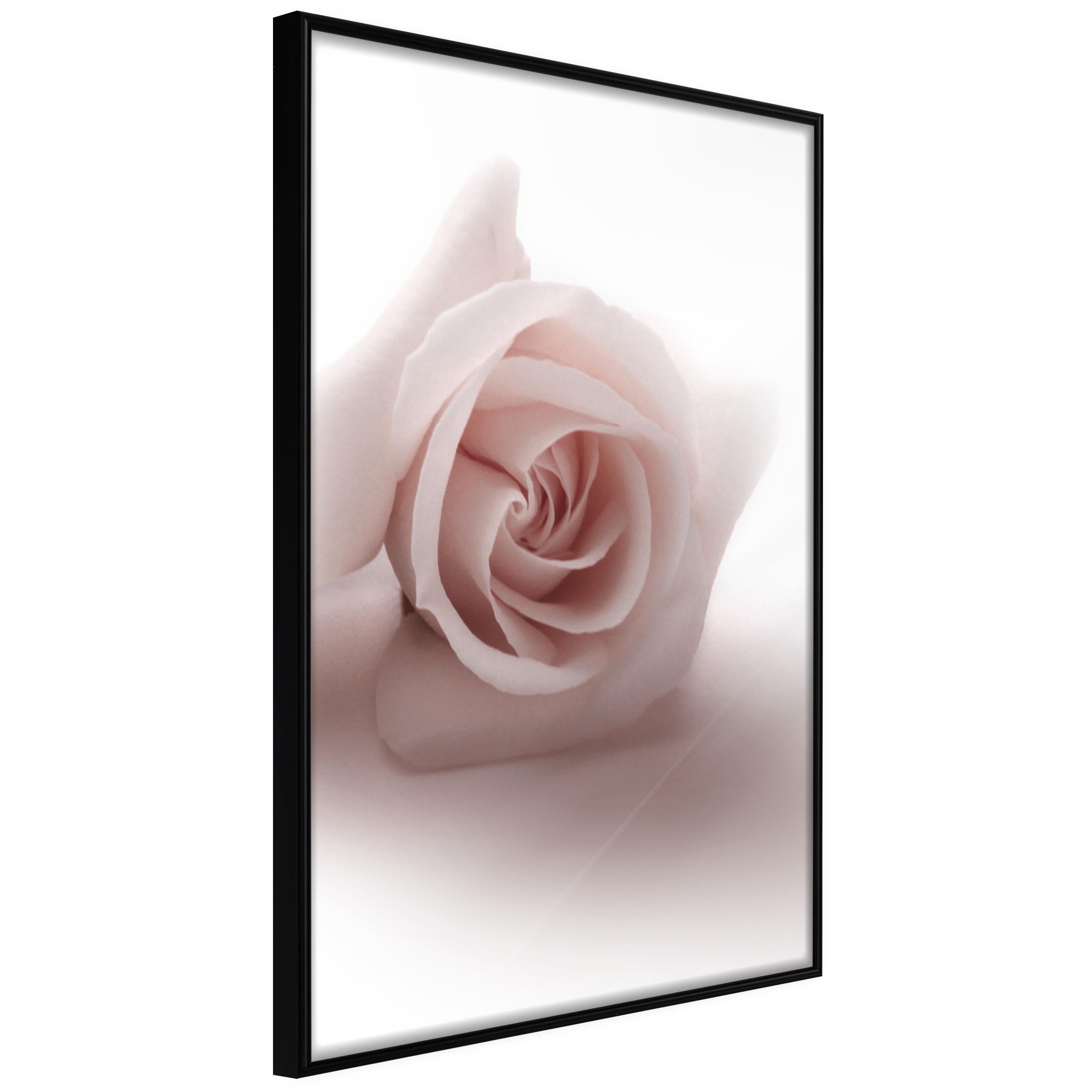 Plakat - Rose Shadow - 20 x 30 cm - Sort ramme