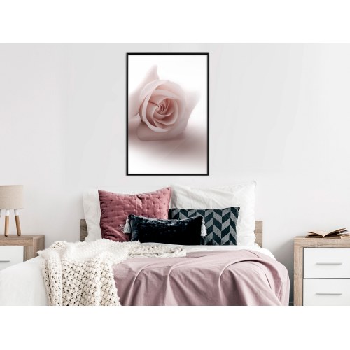 Plakat - Rose Shadow