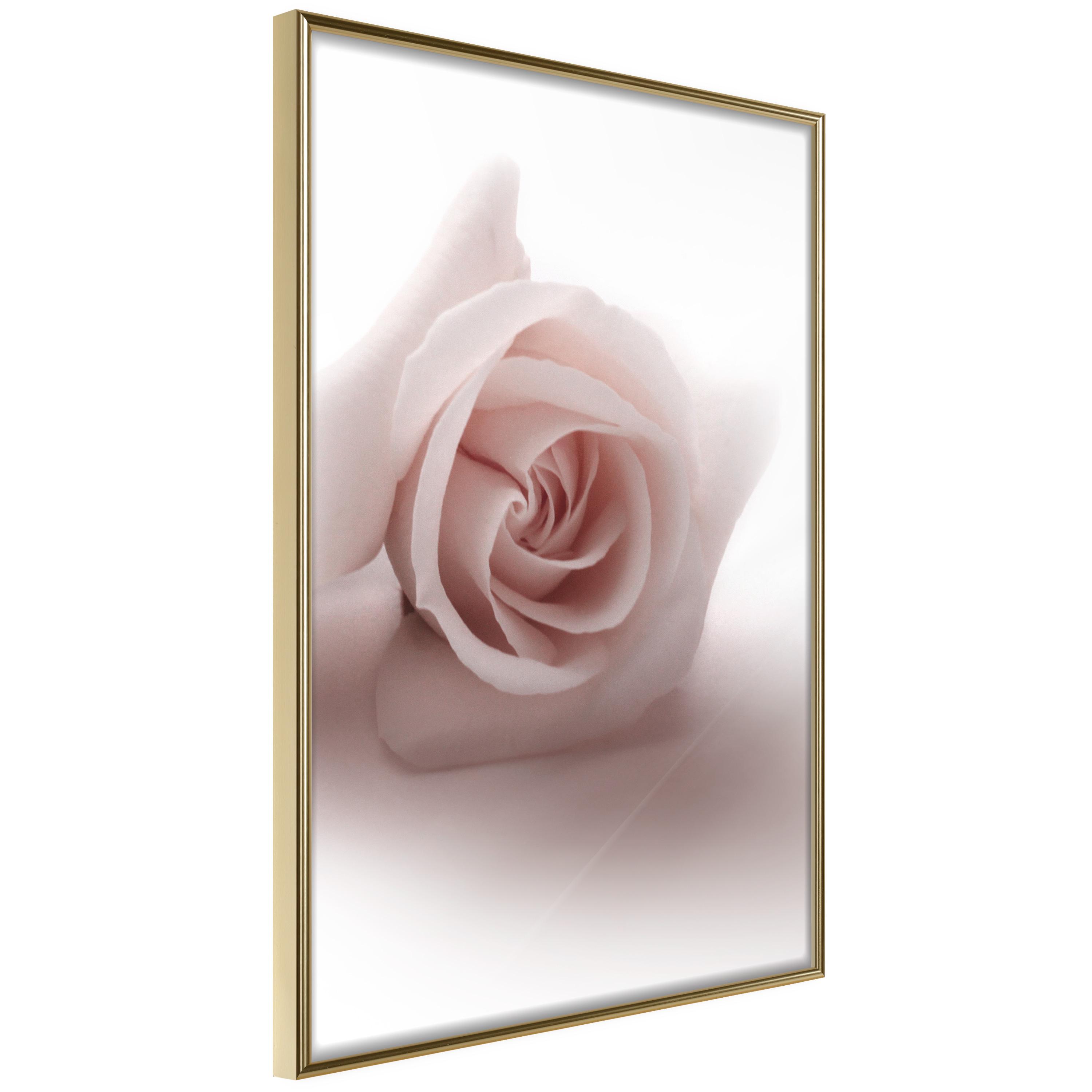Plakat - Rose Shadow - 40 x 60 cm - Guldramme
