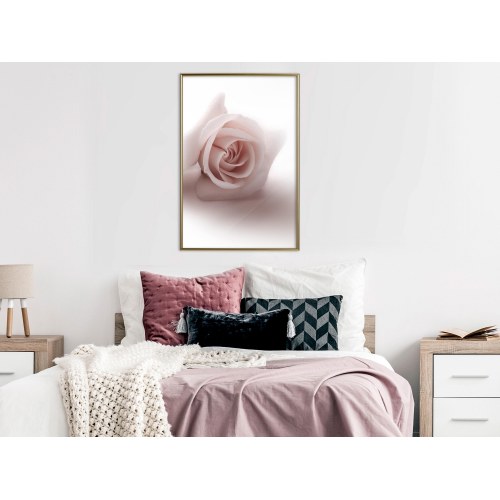 Plakat - Rose Shadow