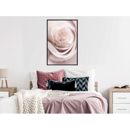 Plakat - Porcelain Rose