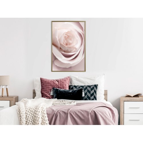 Plakat - Porcelain Rose