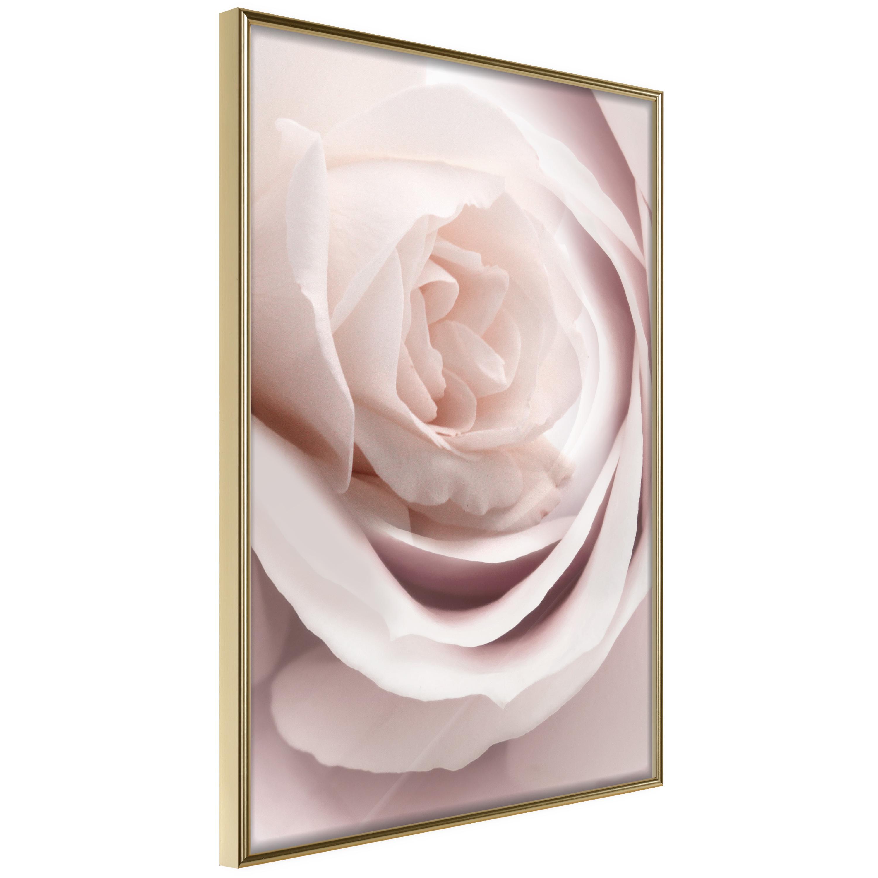 Plakat - Porcelain Rose - 30 x 45 cm - Guldramme