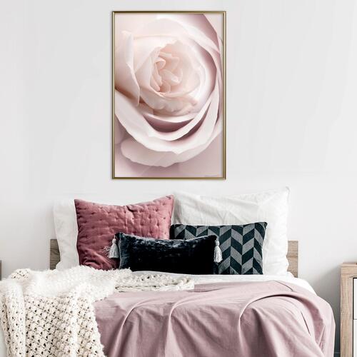 Plakat - Porcelain Rose