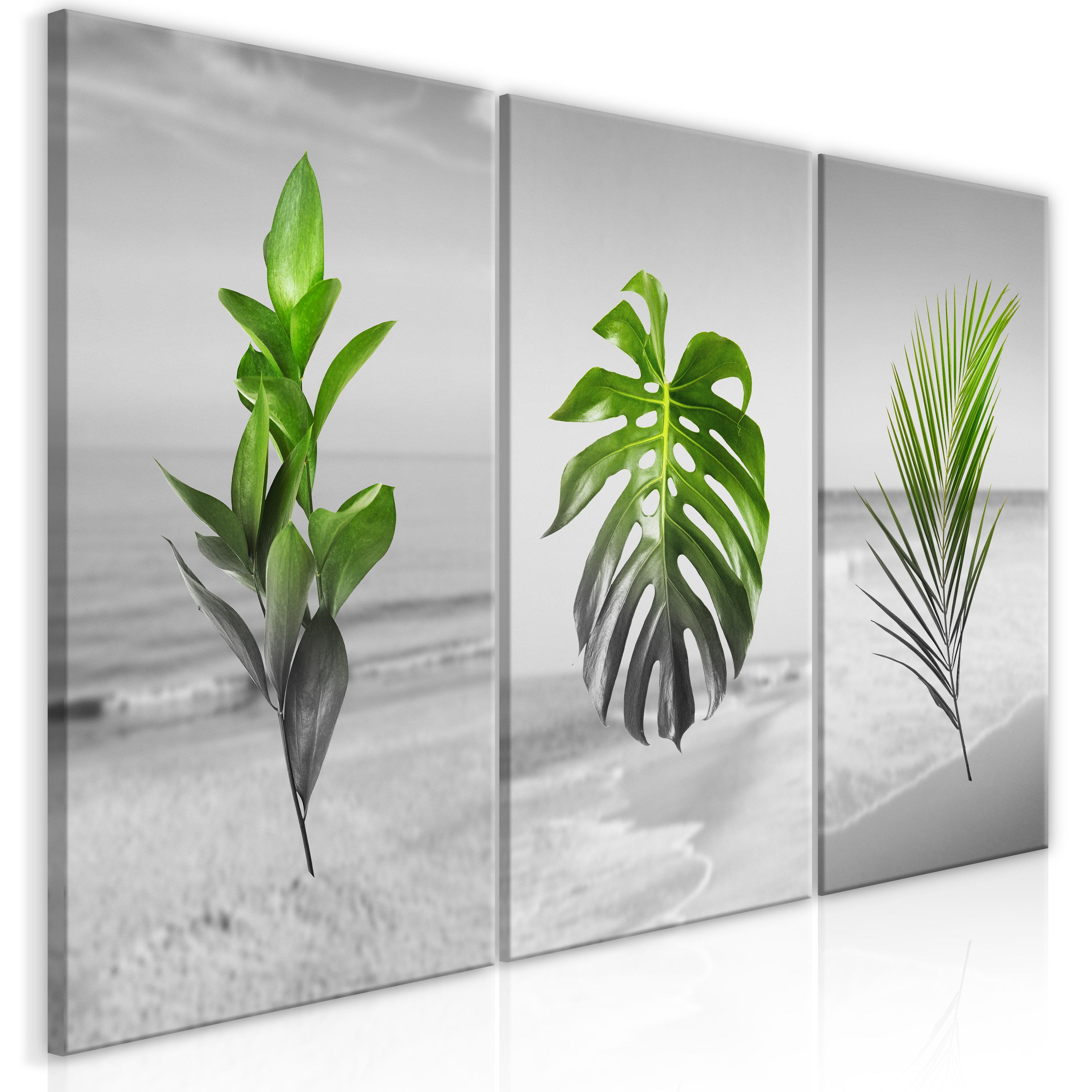 Billede - Plants (Collection) - 60 x 30 cm - Premium Print