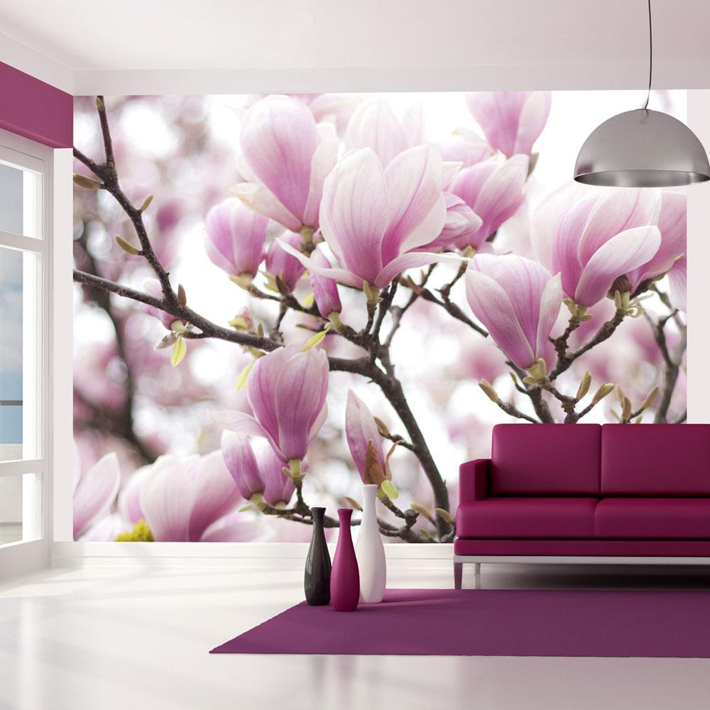 Fototapet - Magnolia bloosom - 245 x 193 cm - Selvklæbende