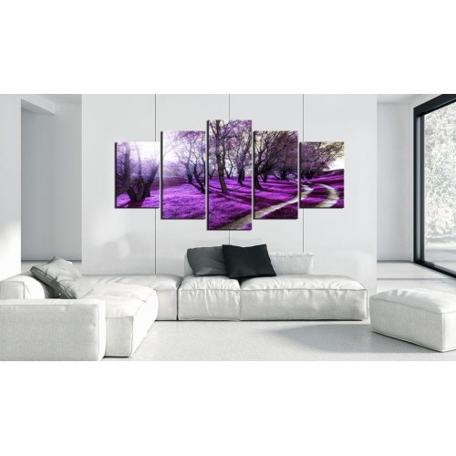 Billede - Lavender orchard