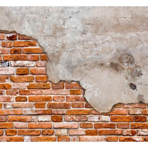 Fototapet - Secret of the Wall