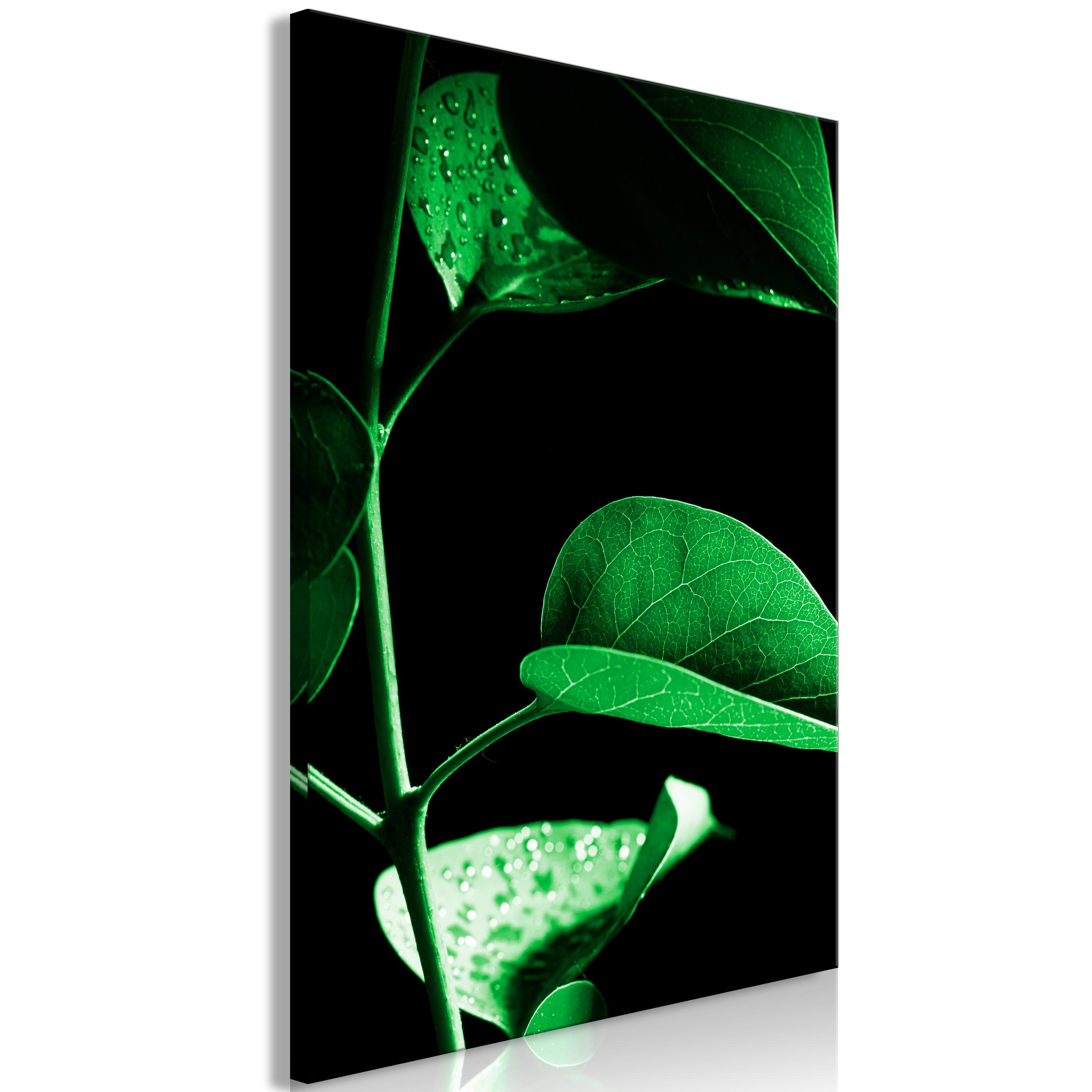 Billede - Plant in Black (1 Part) Vertical - 40 x 60 cm - Premium Print