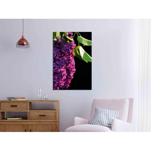 Billede - Colours of Spring (1 Part) Vertical