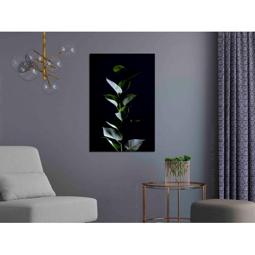 Billede - In the Moonlight (1 Part) Vertical