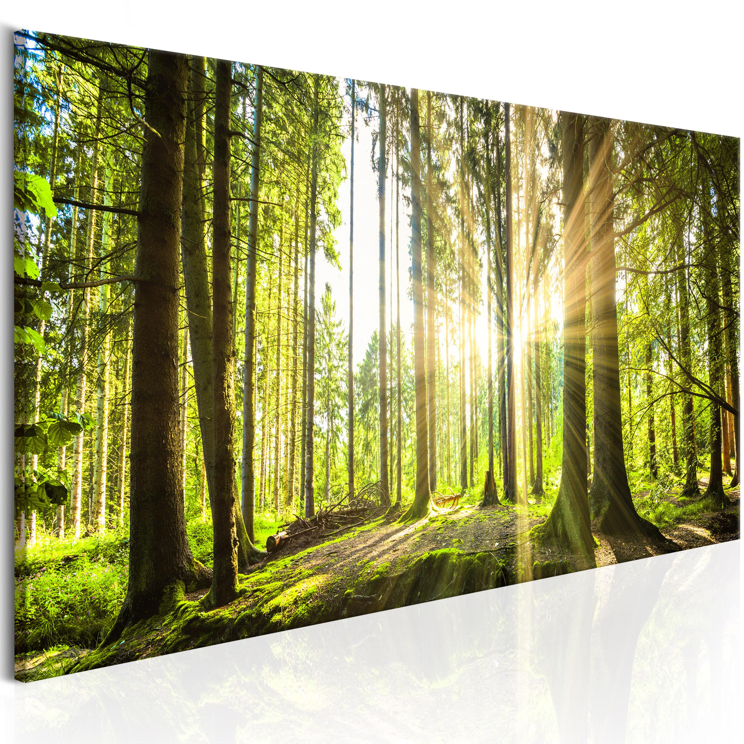 Billede - Daylight - 135 x 45 cm - Premium Print