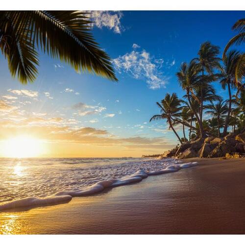 Fototapet - Tropical Beach