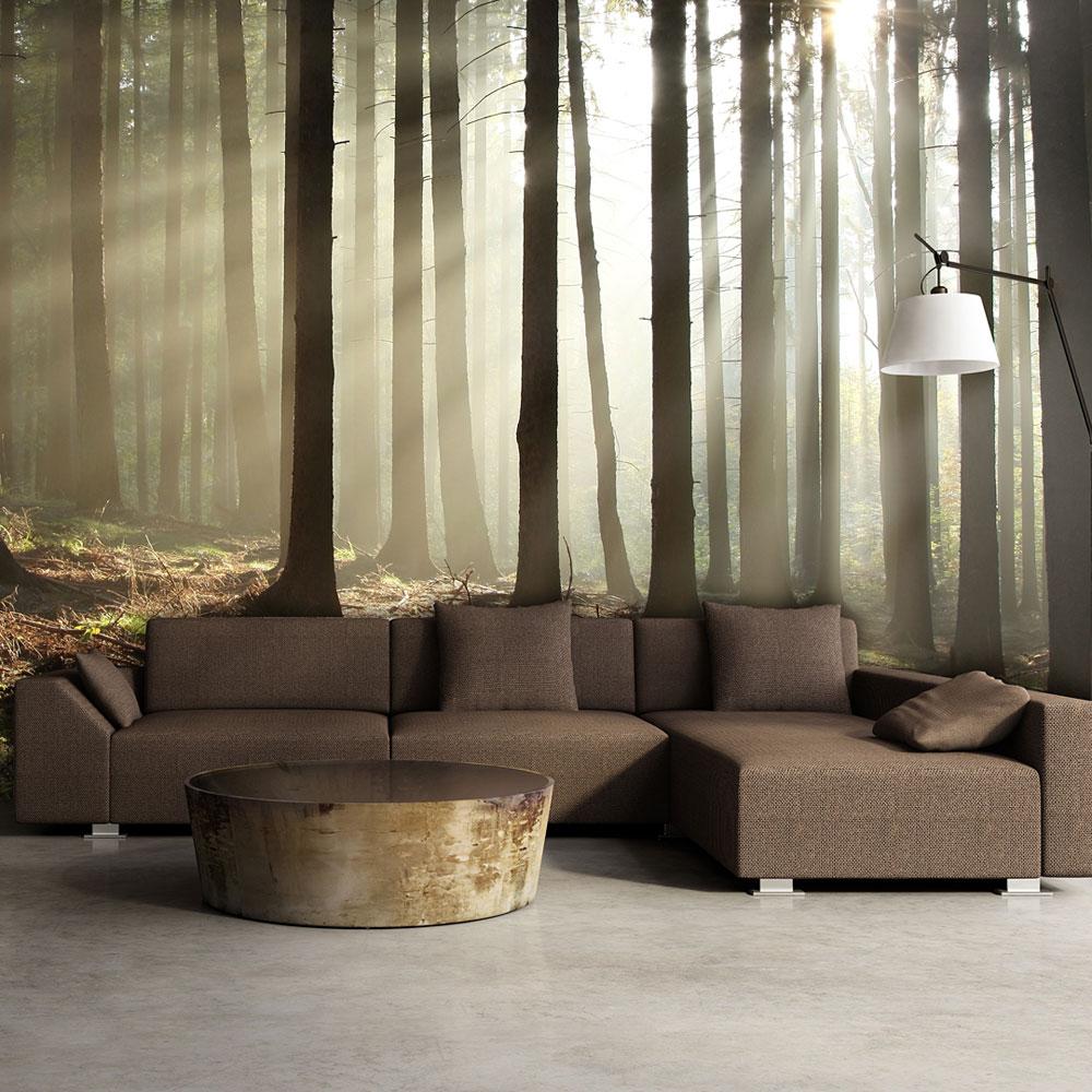 Fototapet - Nåleskov - 450 x 270 cm - Premium billede