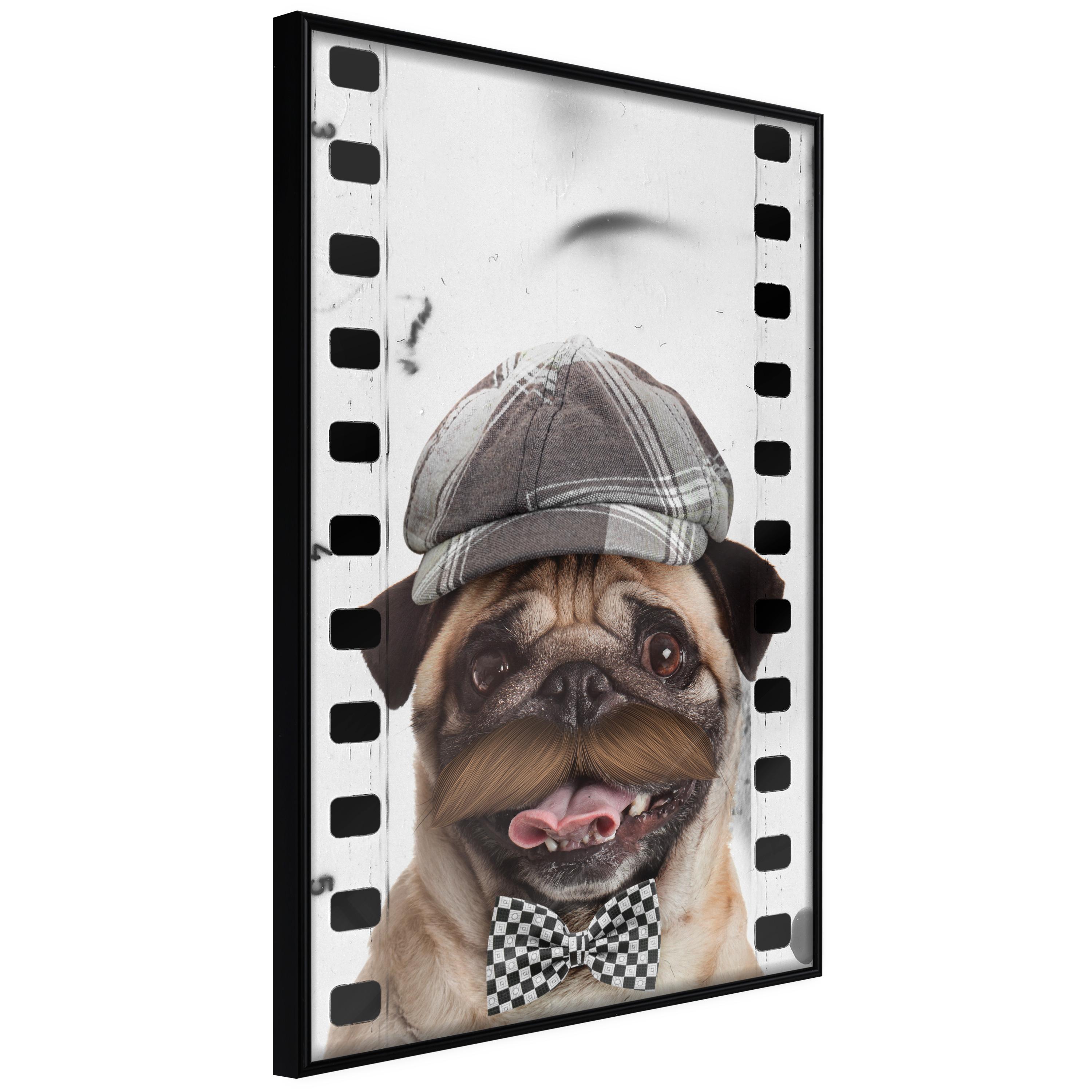 Plakat - Pug In Hat - 40 x 60 cm - Sort ramme