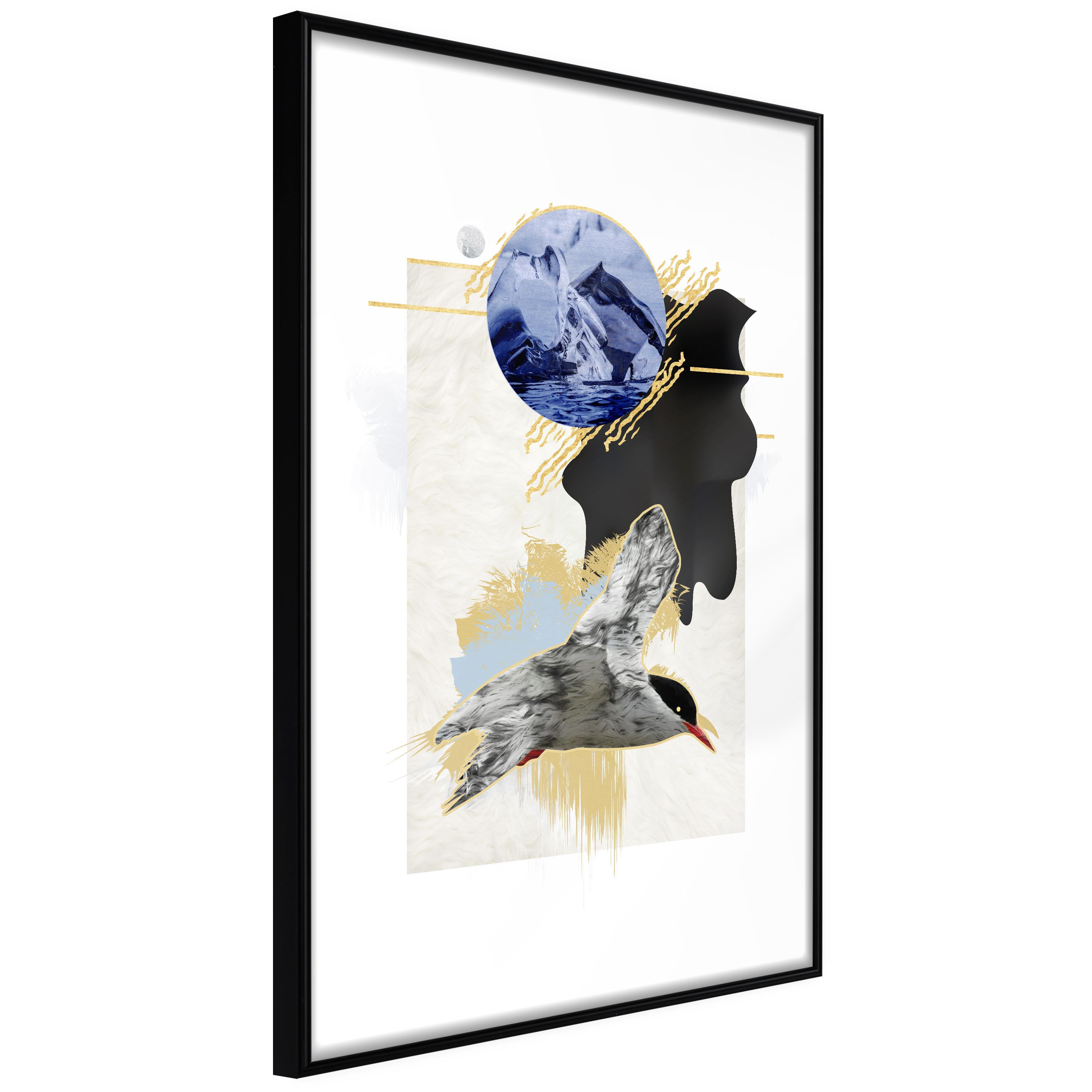 Plakat - Antarctic Tern - 30 x 45 cm - Sort ramme