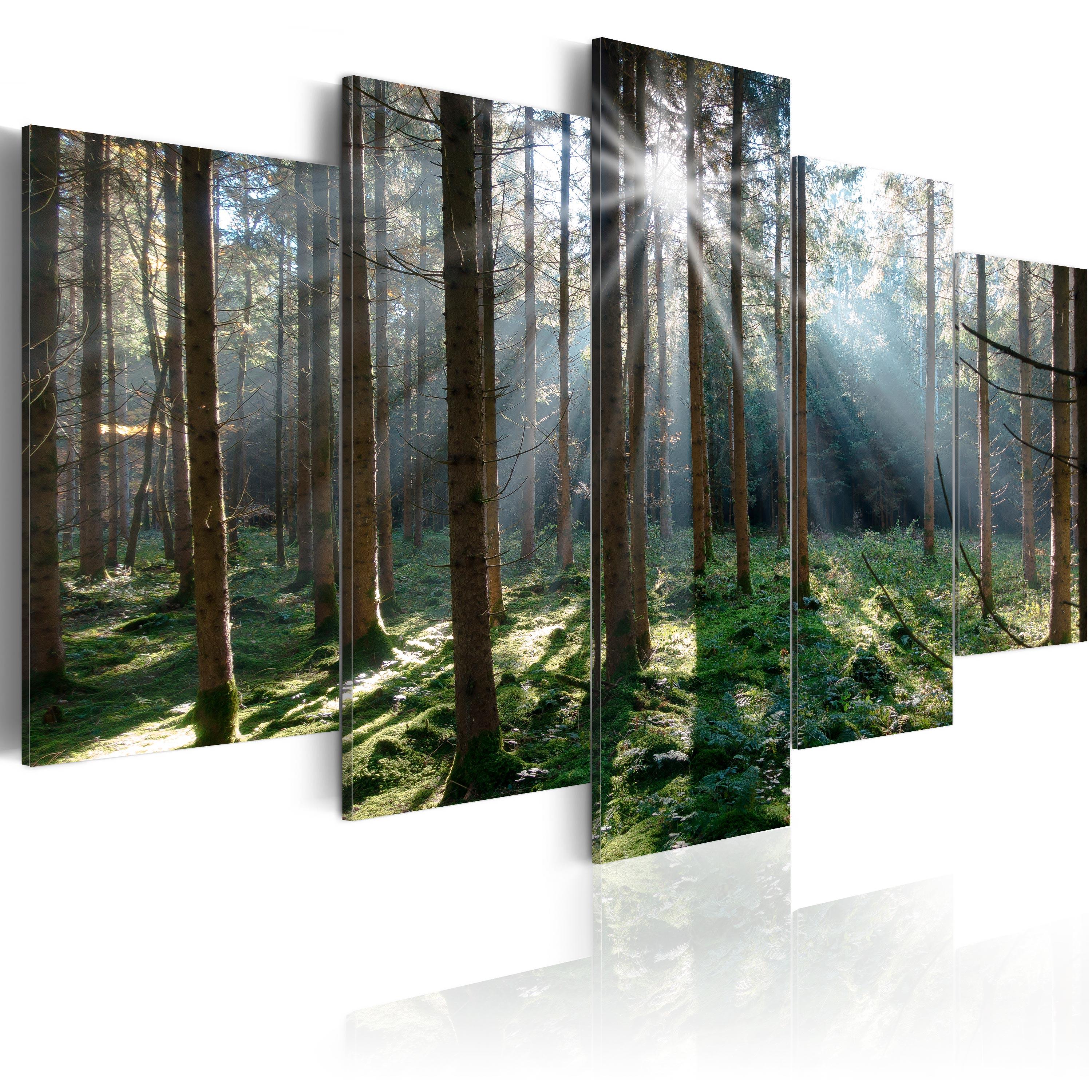 Billede - Fairytale Forest - 200 x 100 cm - Premium Print