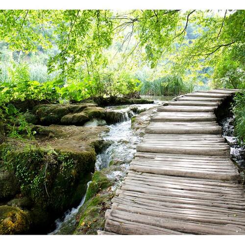 Fototapet - Forest path