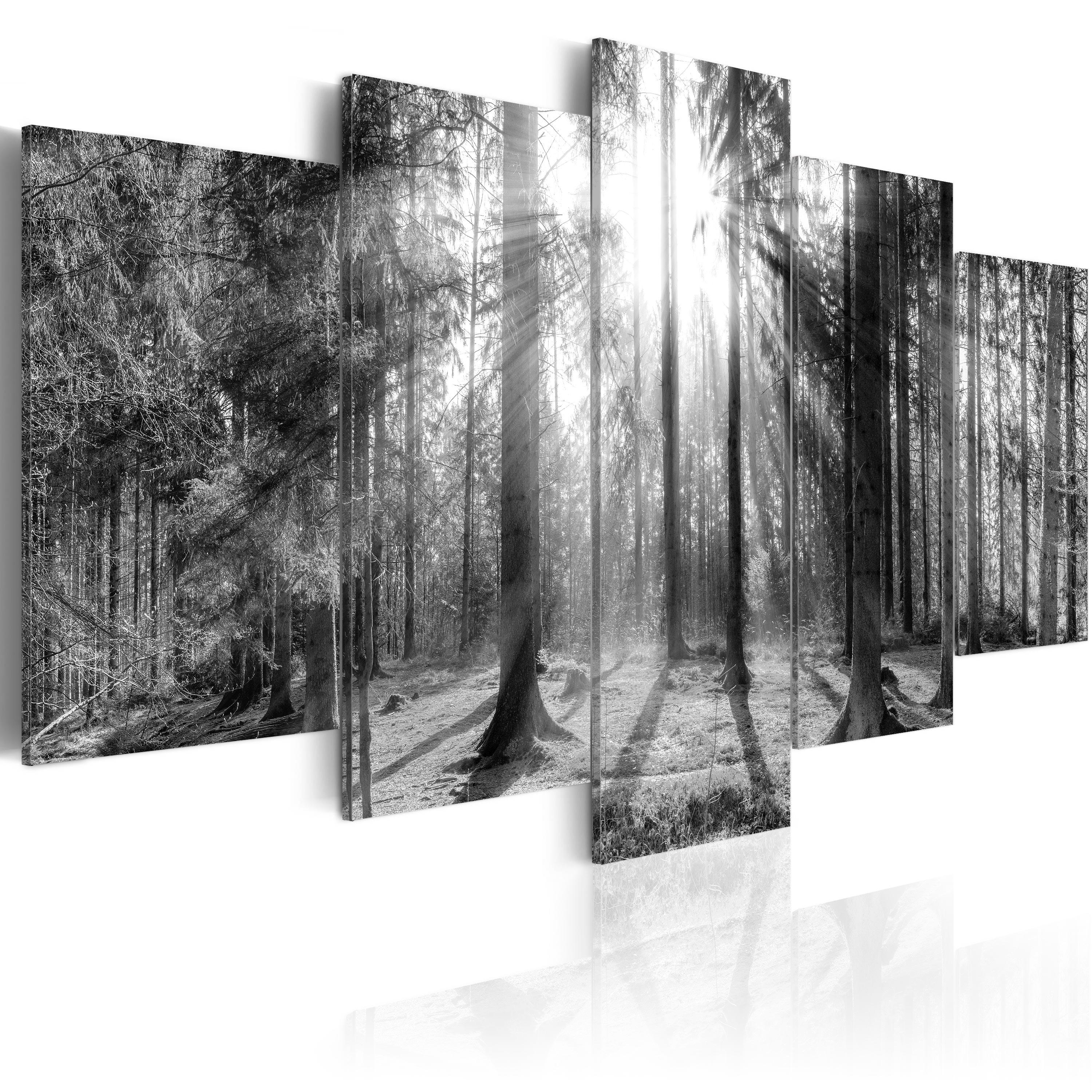Billede - Forest of Memories - 225 x 112.5 cm - Premium Print
