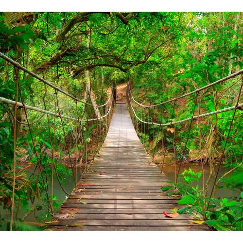 Fototapet - Bridge amid greenery