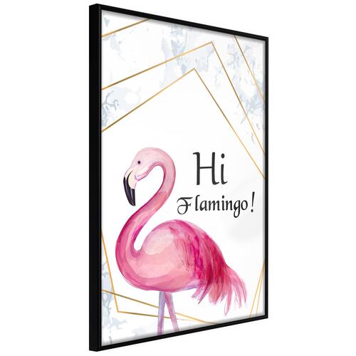Plakat - Hi Flamingo!