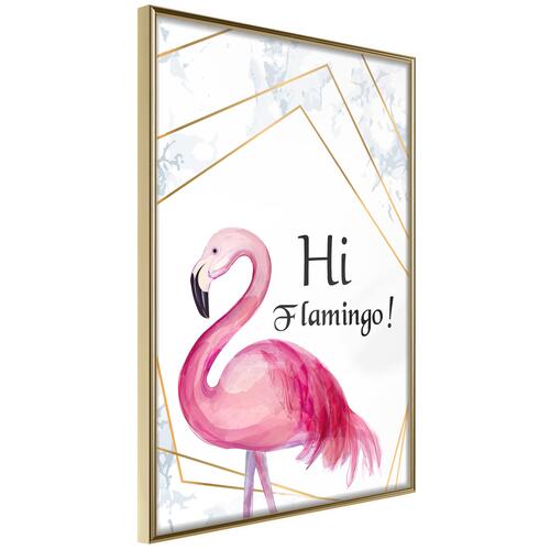 Plakat - Hi Flamingo!