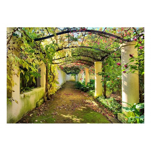 Fototapet Pergola - fototapet til væg med havegang