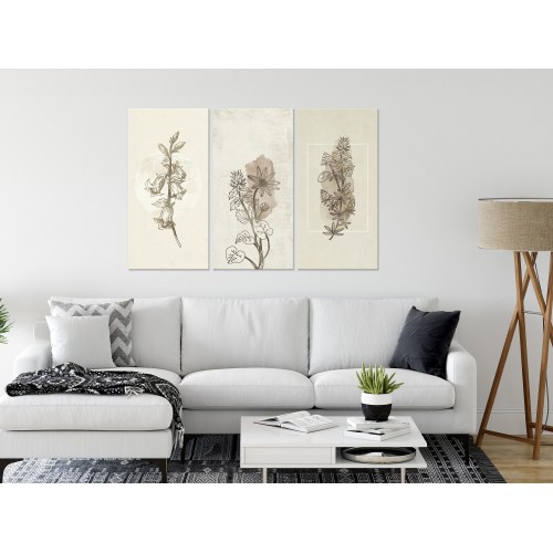 Billede - Herbarium (3 dele)