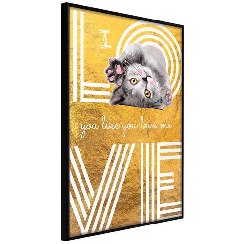 Plakat - I Love You like You Love Me