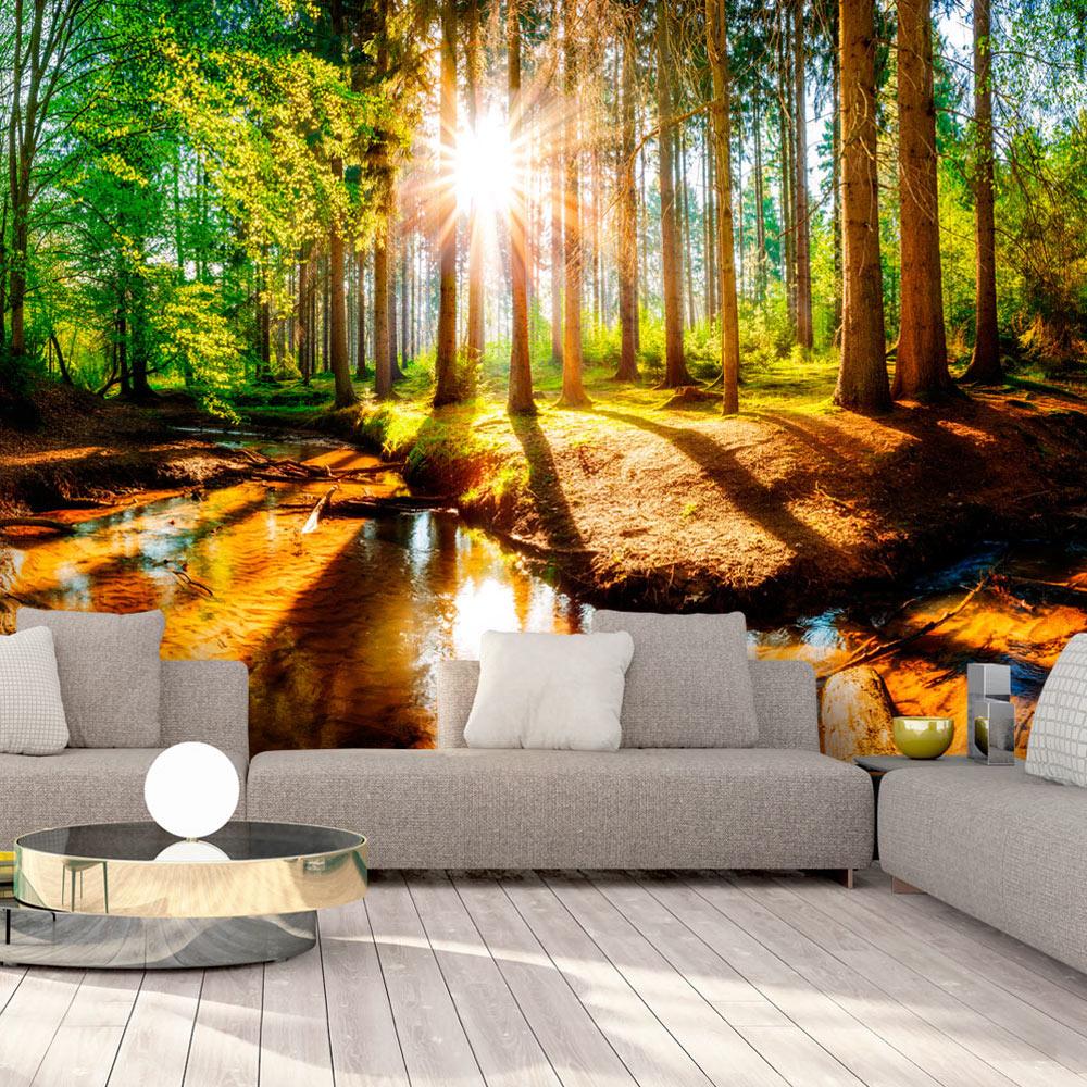 Fototapet - Marvelous Forest - 245 x 175 cm - Selvklæbende