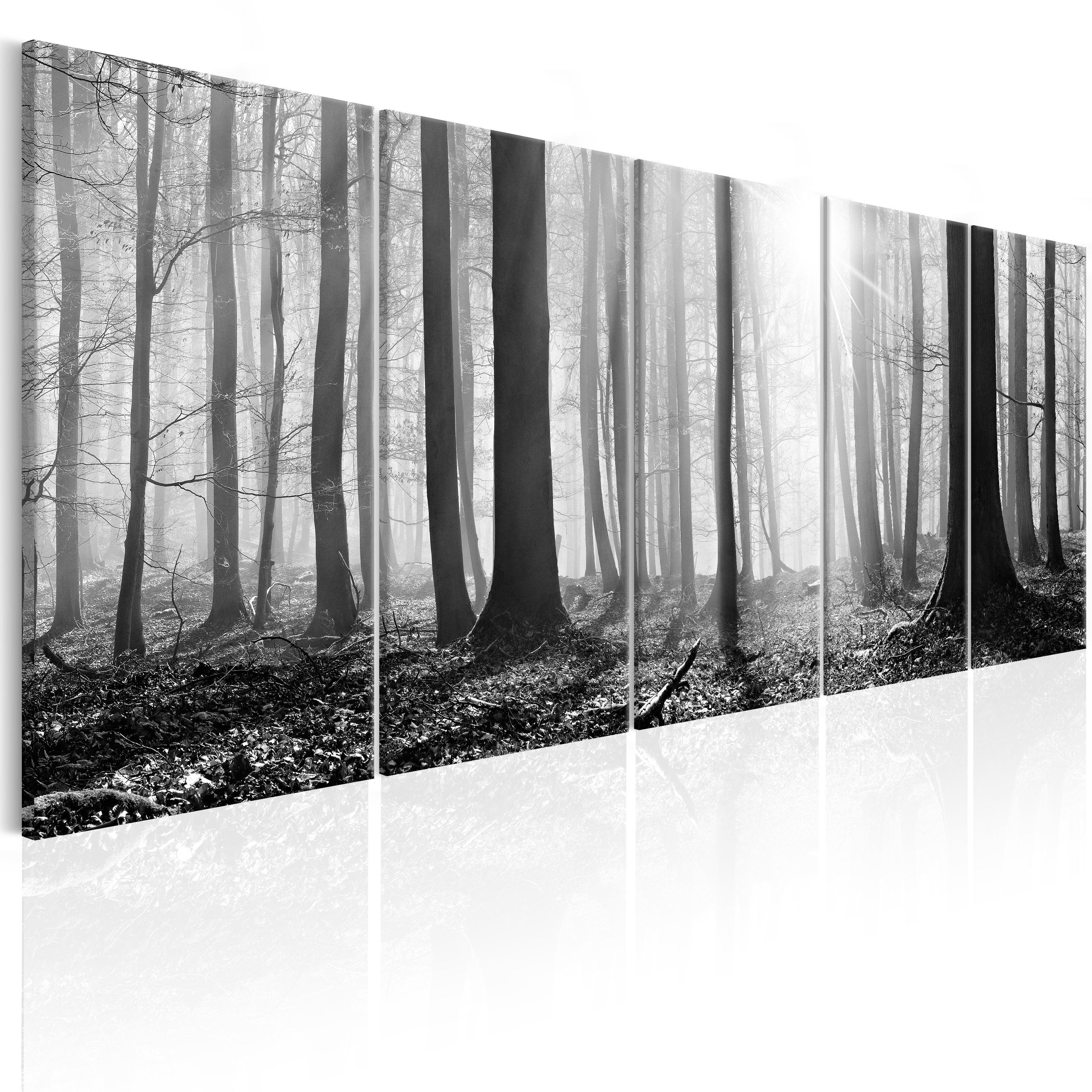 Billede - Monochrome Forest - 225 x 90 cm - Premium Print