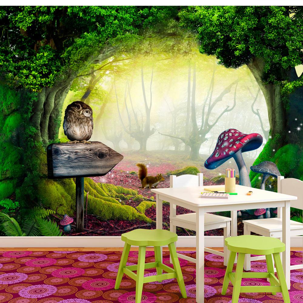 Fototapet - Owlish corner - 350 x 245 cm - Premium