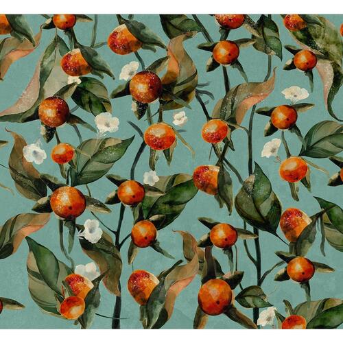 Fototapet - Orange Grove