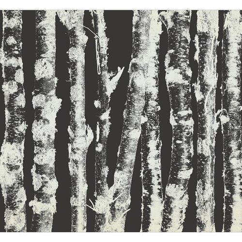 Fototapet - Stately Birches - Second Variant