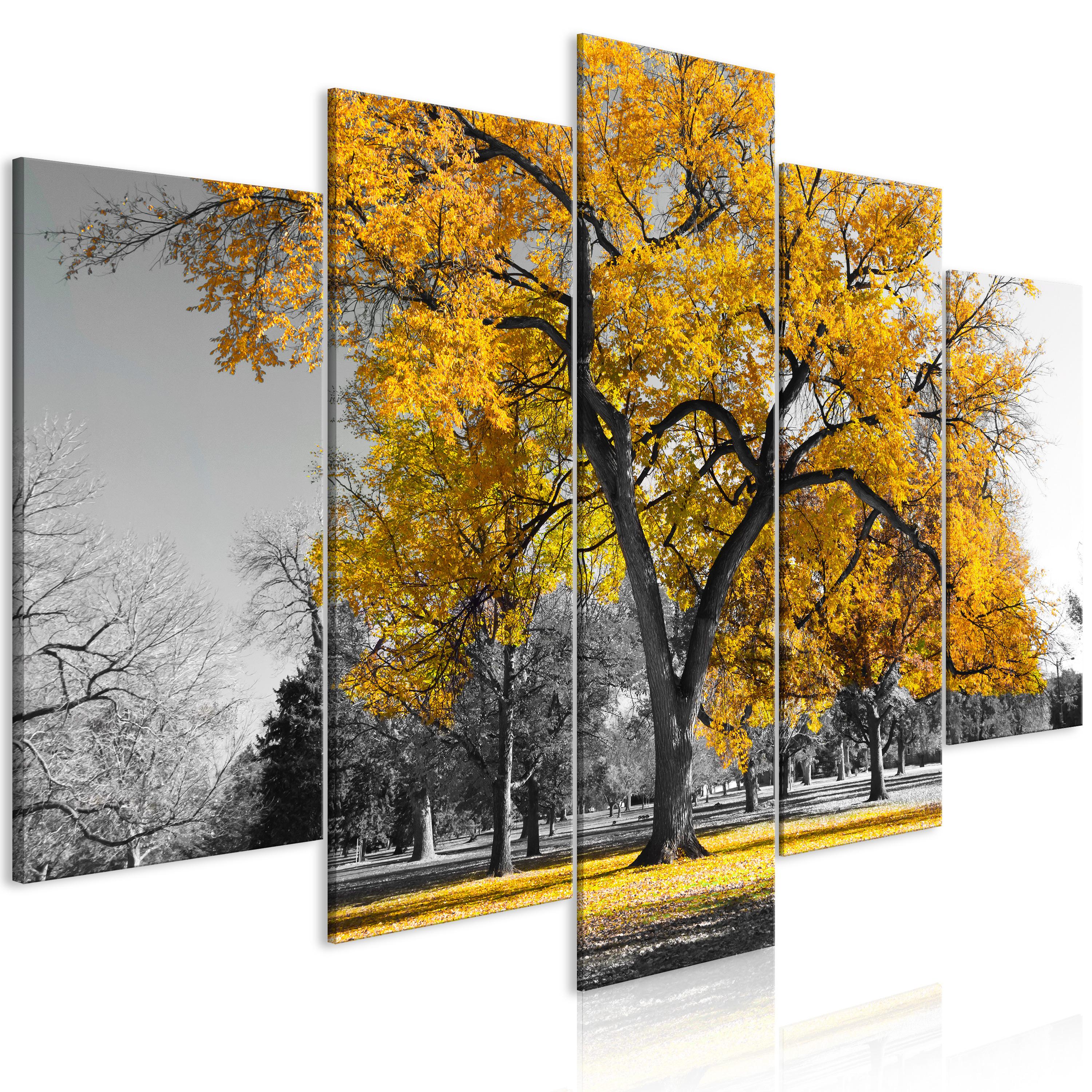 Billede - Autumn in the Park (5 dele) Wide Gold - 225 x 112.5 cm - Premium Print